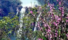 一道最美的风景