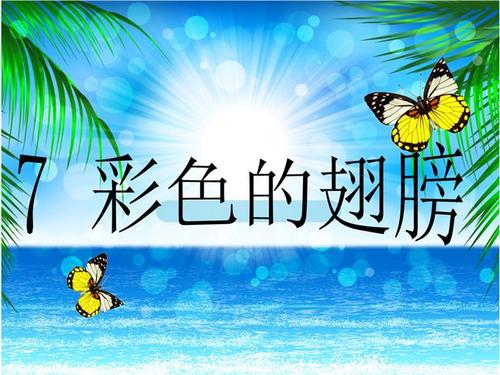 可以没有翅膀飞
