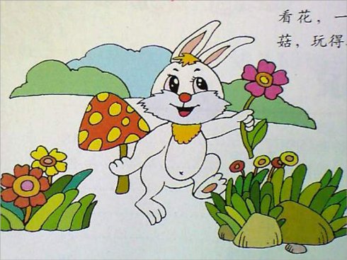 我和小白兔