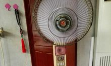 我家的“老古董"