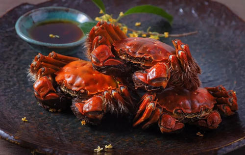 美食魅力
