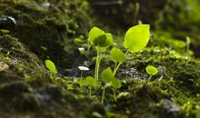 希望今年的春天是温暖