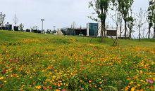 收获满满的一天