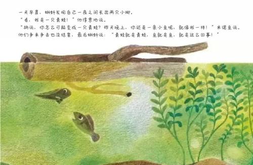 鱼就是鱼续