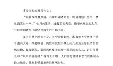 夏天的公园作文250字