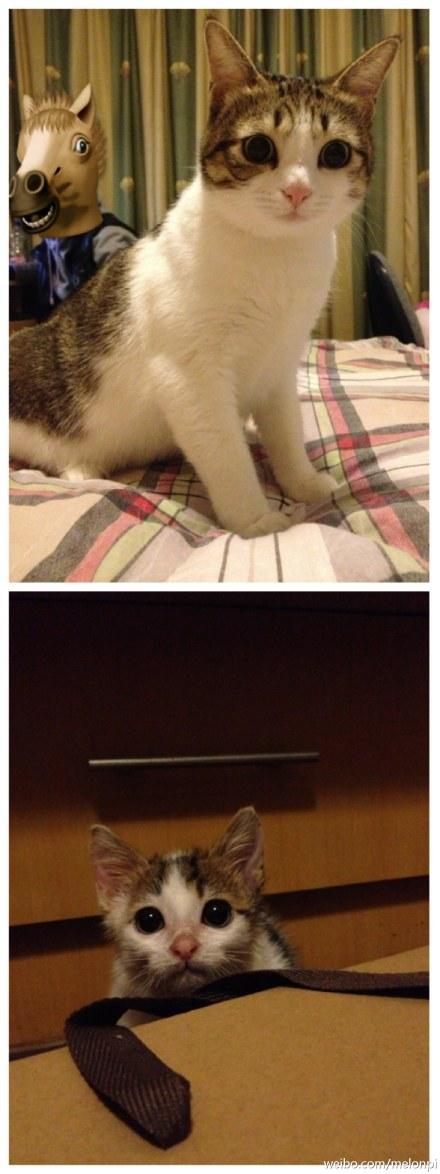 大眼睛和小眼睛