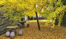 我懂得了待人宽容