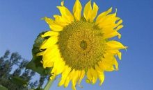 让我悄悄告诉你