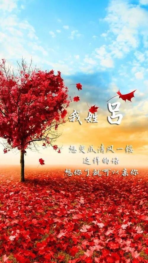 我喜欢春天的季节