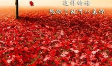 我喜欢的季节春天