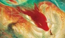 观《大鱼海棠》有感