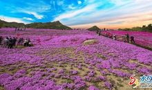 四月我身边的大地