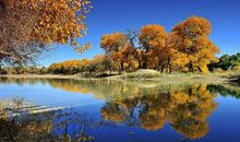 我生命中的一缕阳光