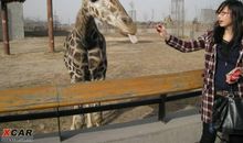 邢台动物园游记