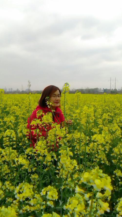 盛开的季节