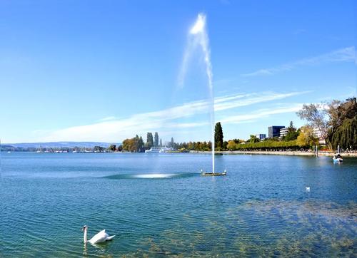 迈向遥远的梦想