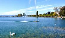 向远方的梦大跨步