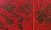 令人惊奇的色彩世界