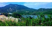 兰诸山下的遐思