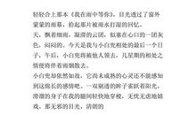 触动心灵的眼泪作文