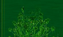 读《知音》有感