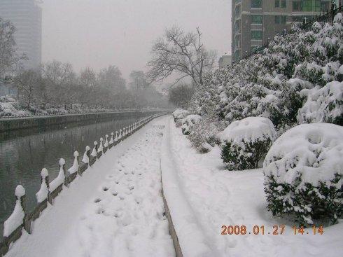 雪中​​400字
