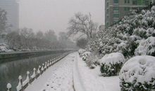 雪中即景作文400字