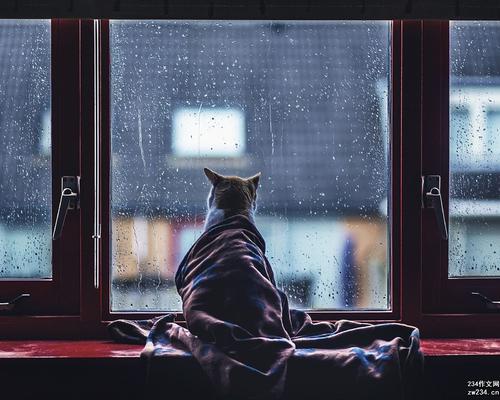 雨天护理