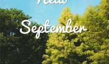 我身边的独特风景