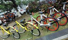 共享单车的色彩