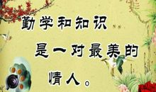 我最喜欢的一条名言