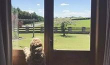 轻轻推开2017年新年的门