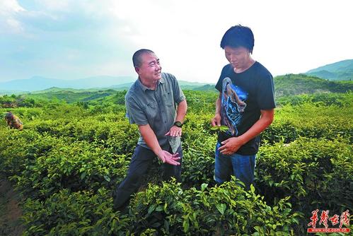 灵魂的培养者
