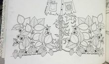 记载岁月的秘密