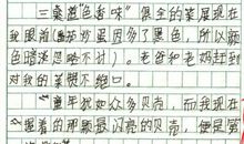 那些寒心的记忆作文