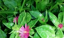 有一种体谅叫包容