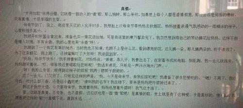关于潘的文章