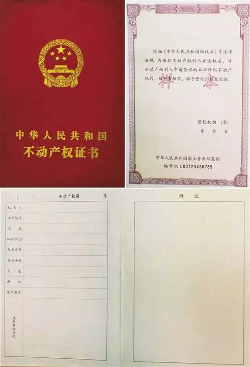 差异与差距