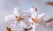 奇迹开满人生的每个角落