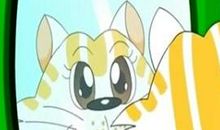 猫和镜子看图写话