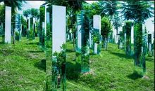 有趣的穿越丛林