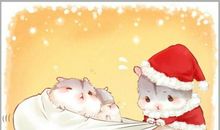 可爱机灵的小仓鼠