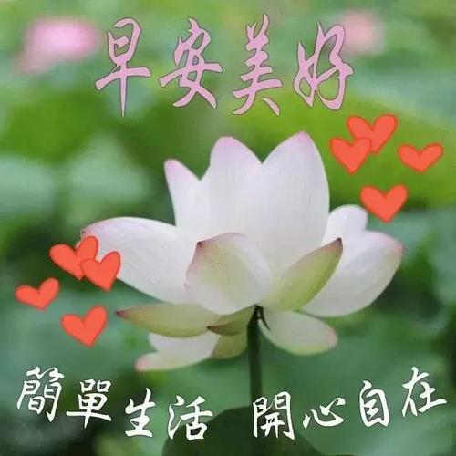 那个美丽的早晨