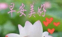 那个美丽的清晨