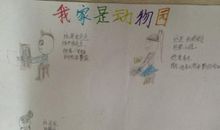 我家里的动物园