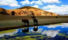 我喜欢这样的旅行