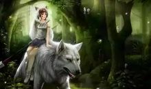 寻觅的却全然不知身在其中