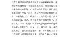 多彩的活动作文六年级