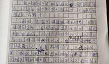 把失败炼成诗作文