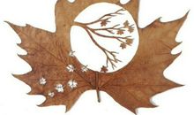 成长见证了珍惜的可贵